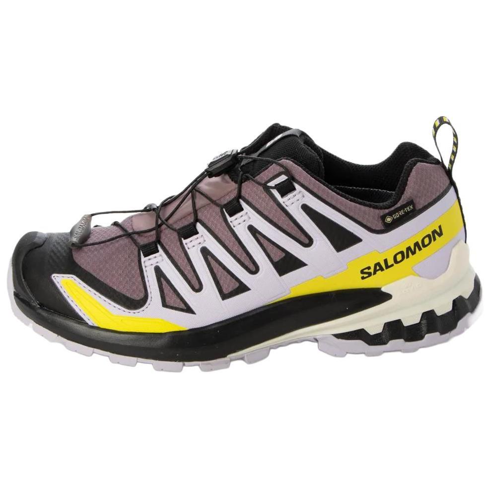 SALOMON Женские кроссовки XA Pro 3D V9 GORE-TEX Moonscape Orchid Petal Sulphur Серые L47469500