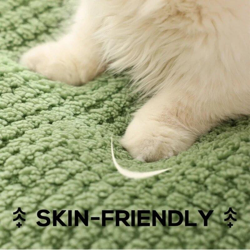 Плюшевые теплые зеленые кровати для кошек и собак, гнездовая корзина в форме лягушки, мультяшные конуры для кошек, аксессуары для домашних животных