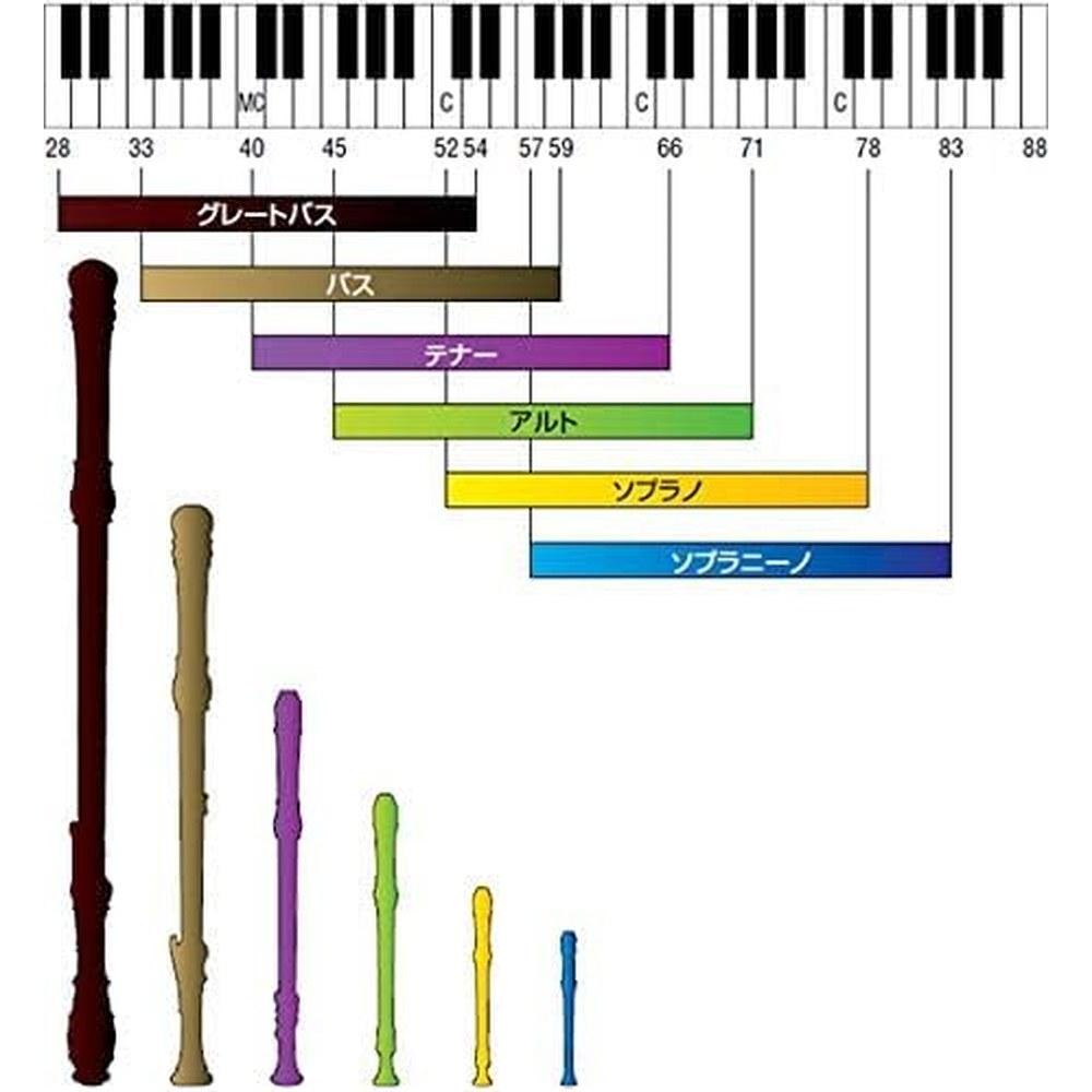 Yamaha ABS Resin Soprano Baroque Recorder YRS-302BIII Set Antibacterial Cap