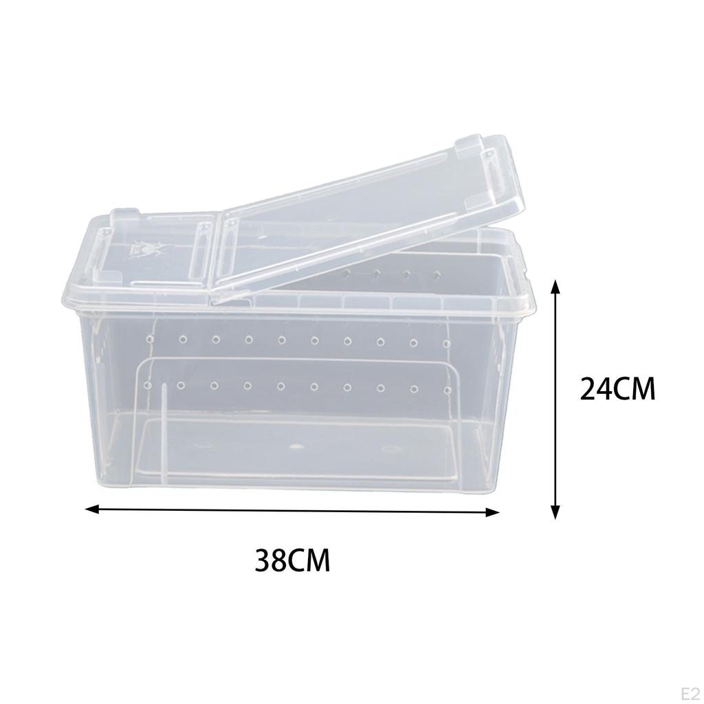 Reptile Breeding Box, Hatching Case, Terrarium Tank, Clear for Snake