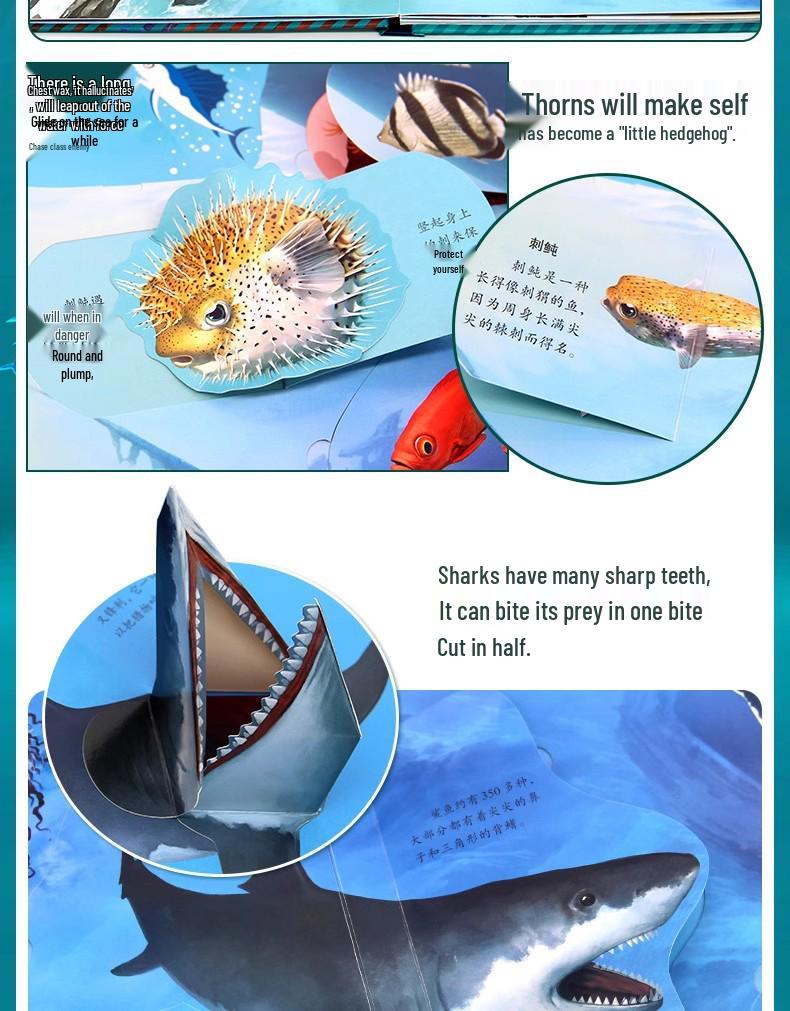 Исследование океана: Удивительная 3D pop-up книга про животных для детей от 3 до 8 лет