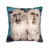 Pillow Case Funny N-Nicolas C-Cage Picolas Soft  Pillow Cover For Sofa Bedroom Home Decor Kawaii Pillowcases
