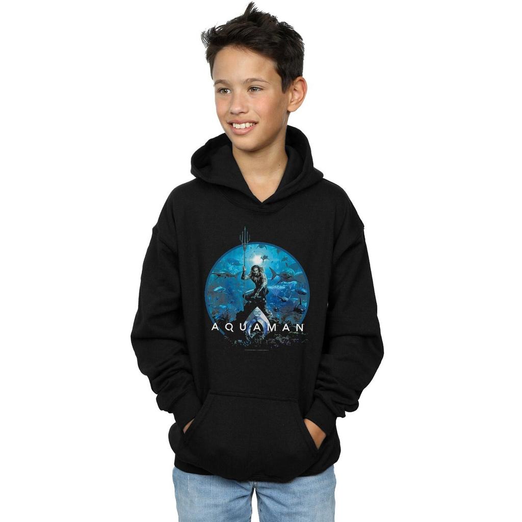 DC Comics Boys Aquaman Circle Poster Hoodie