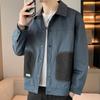 Men's Spring and Autumn Jackets, Men's New Korean Style Trendy Tops, Casual Workwear Jackets, Lapels, Versatile Men's Clothing