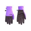 The North Face Перчатка Etip Recycled Унисекс NF0A4SHA