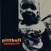 CD PITBULL - Casualty  LF049CD Lost And Found  1993 Germany Rock Used