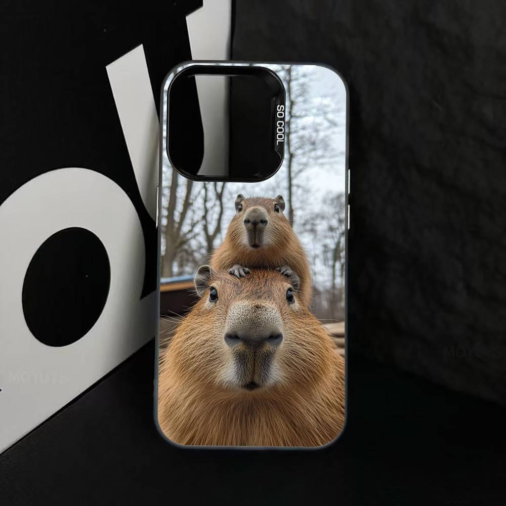 Cute capybara Phone Case For iPhone 17,16,15,14,13,12,11 Plus,Pro Max,XS,Colorful Silver Black Cover