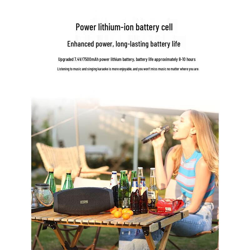 W-King D10+ Portable Bluetooth KTV Speaker