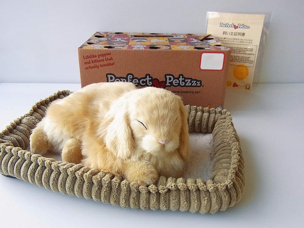 Ninian and Kino Perfect Pet Rabbit Plush Perfect Cute Bunny (Small) Lop-Eared (Beige) Toy, Realistic, Lifelike, Animal, Soothing, Moving, Gift,