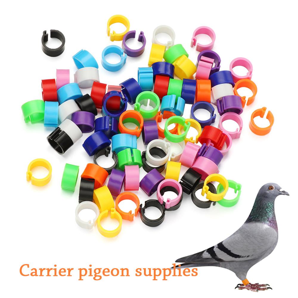 100 Pcs Colorful Animal Bird Poultry Clip Rings Leg Band