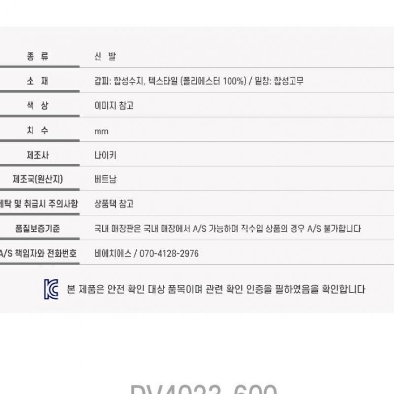 Nike SneakerS Running ShoeS Women S Winflo 10 Dv4023 600 S2304