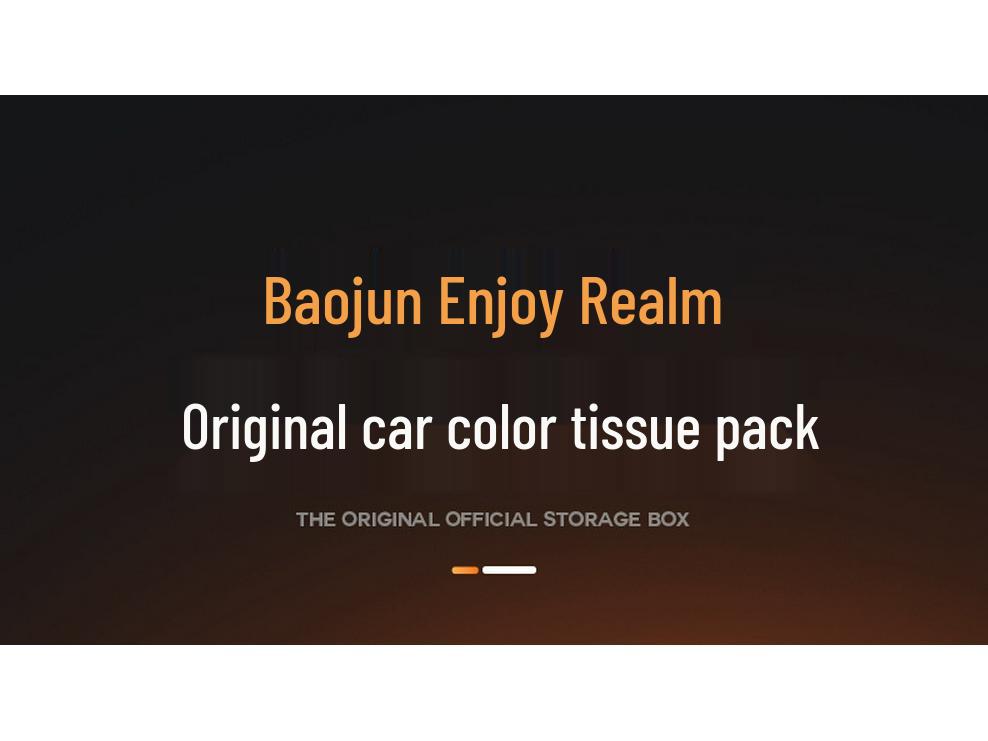 Baojun Xiangjing 25 Новый Модель Автомобильный Подлокотник и Держатель для Салфеток на Спинку Сиденья