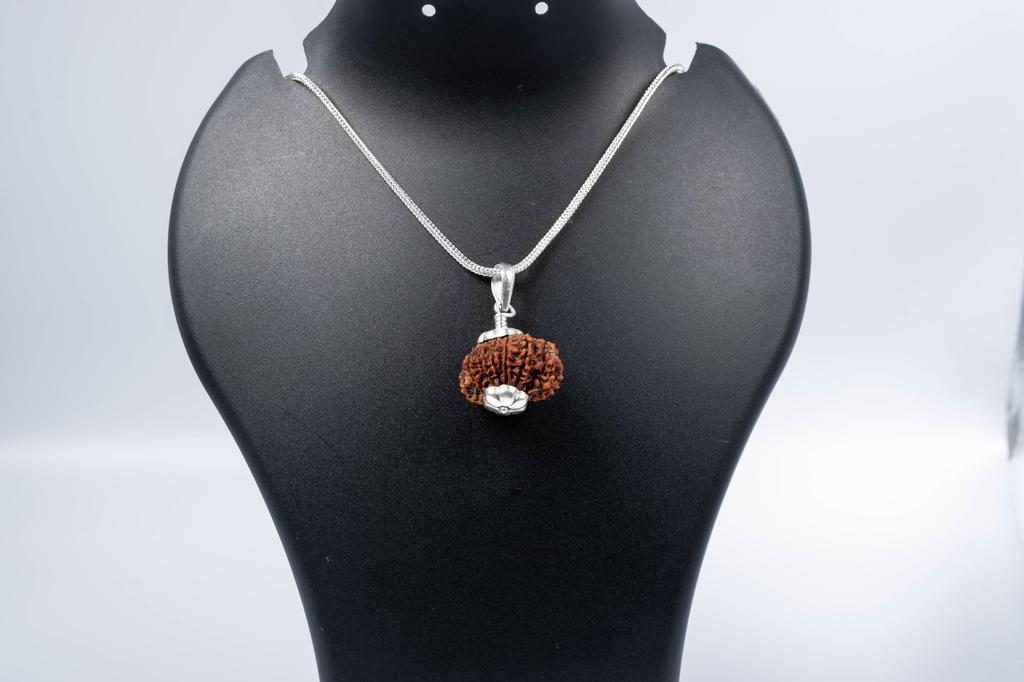 Натуральный 12-мукхи Рудракша 925 Серебряный Кулон – Непальское Происхождение | Бусина для Лидерства, Уверенности, Солнечной Чакры и Успеха | Органический и Сертифицированный Лабораторией