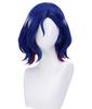 Shuji Ito Cosplay Wig, Heat-Resistant, Costume Accessory, Parties, Events, Costumes, Photoshoots, Festivals, with Net (Blue, Purple, White)