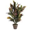 Plante Artificielle - Mica Decorations - Croton - H73 Cm - Ø40 Cm - Vert Bariolé