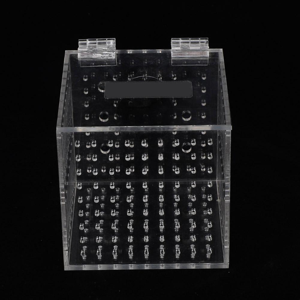 Акриловая магнитная изоляционная коробка для разведения аквариумных рыбок, клетка для инкубатора для маленьких рыбок