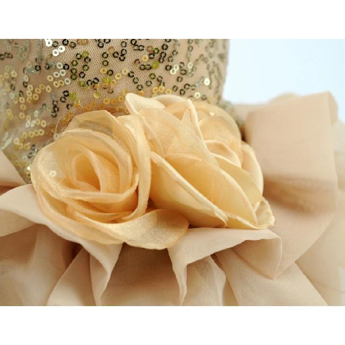 Black Dog Dress Princess Dress for Dog Lace Dog Wedding Dress Rose Flower Girl Dresses Party Dress Festival Clothes For Dogs