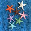 Resin Simulated Starfish DecorationsFish Tank OrnamentsWedding Decorations and Home Furnishings