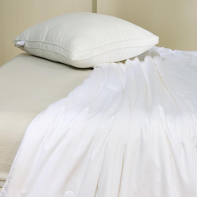 Mercury Antibacterial Mulberry Silk Quilt