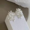 Super Flash Diamond-set Fireworks Flower Stud Earrings Korean Niche Cold Wind Earrings Fashionable Personalized Design Earrings