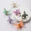 New Fairy Acetate Fiber Butterfly Hair Claw Colorful French Hair Styling Tools Accessories Retro Hair Clamps Sweet Hair Clip
