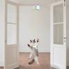 Cats Interactive Teaser Toy with Bouncing Elevating for Felines Cats Plaything Gift for Indoor Felines