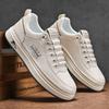 Summer New Men's White Shoes Men's Breathable Casual Board Shoes Versatile Sports Trendy New Men's Shoes