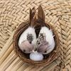 Craft Handmade Home House Decoration Artificial Craft Birds Bird Nest Realistic Feathered Birds Egg