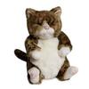 Chibi Pin Cuddly Cat Plush Toy