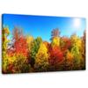Canvas Print Colourful Forest Autumn Landscape