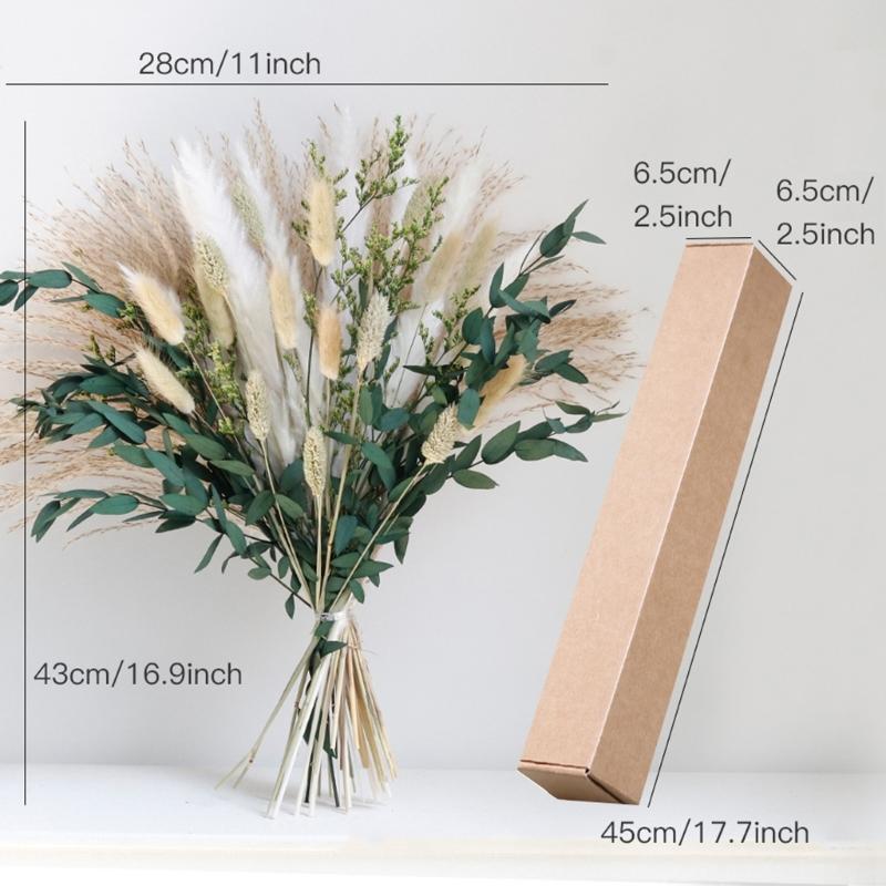 Handmade Dried Flower with Phragmites Communis and Rabbit Tail for Farmhouses Style Arrangement and Stable Gift