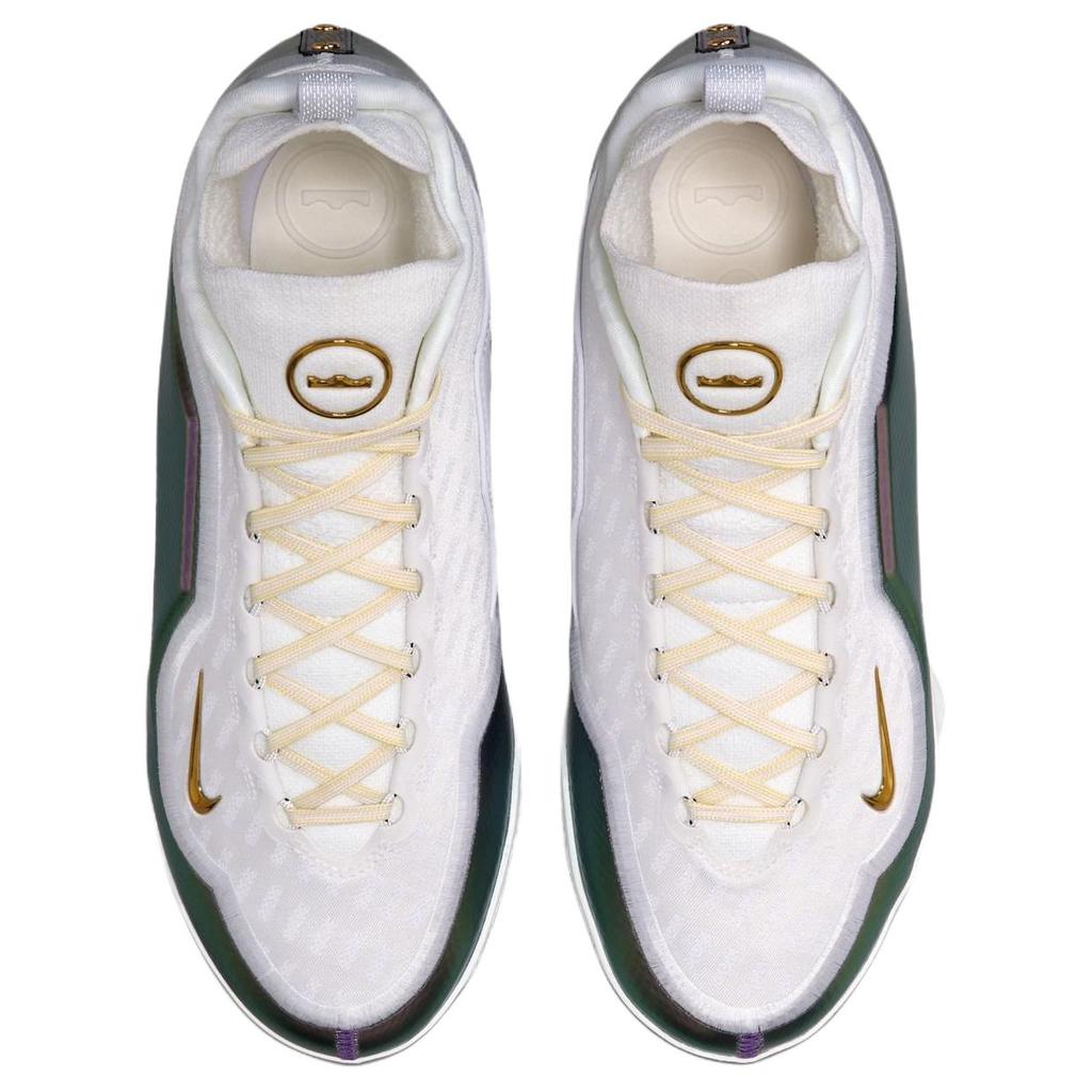 Nike Кроссовки для баскетбола Lebron 23 Elite EP For The Record Удобная посадка Мужские кроссовки Белые IB9558-100