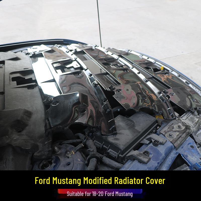 Carbon Fiber Radiator Cover & Hood Latch Guard for 2018-2023 Ford Mustang