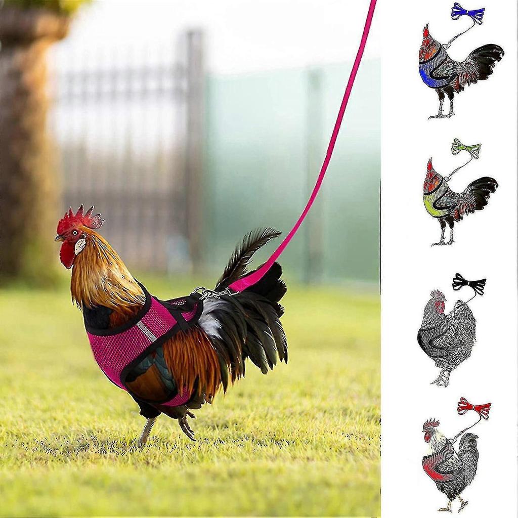1 Set Chicken Harness With Leash Breathable Adjustable Chicken Duck Poultry Vest For Backyard
