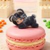Plush Family Cat Face Toy With Short Faux Fur For Office Desk Decor