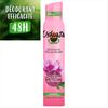 Orchid 48h Effectiveness Spray Deodorant the 200mL Bottle