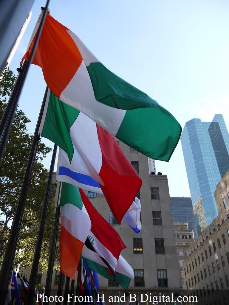 Panasonic HFS014042 14-42mm Zoom Lens for Micro Th