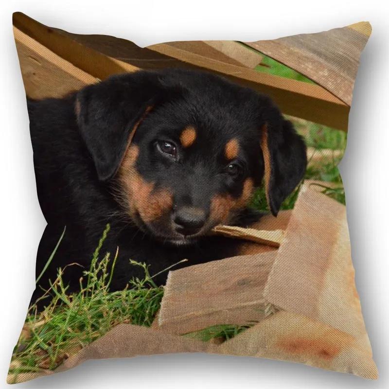 New Custom PET Rottweiler Pillowcase Cotton Linen Fabric Square Zipper Pillowcase Xcm Wedding Decorative Pillow Cover