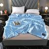 4 STYLES 1pc Silky Cooling Silk Blanket Thin Quilt Smooth Blankets Solid Comforter Bed Cover Single/Queen/King Size