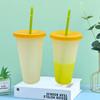 700ml Water Cup Eco-friendly Leakproof PP Color Changing Straw Cup Supplies for Dorm