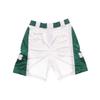 Nike NBA 75th Anniversary SW Fan Edition Boston Celtics Colorblock Sports Straight Loose-Fit Breathable Basketball Shorts Men Bottoms White DD1592-100