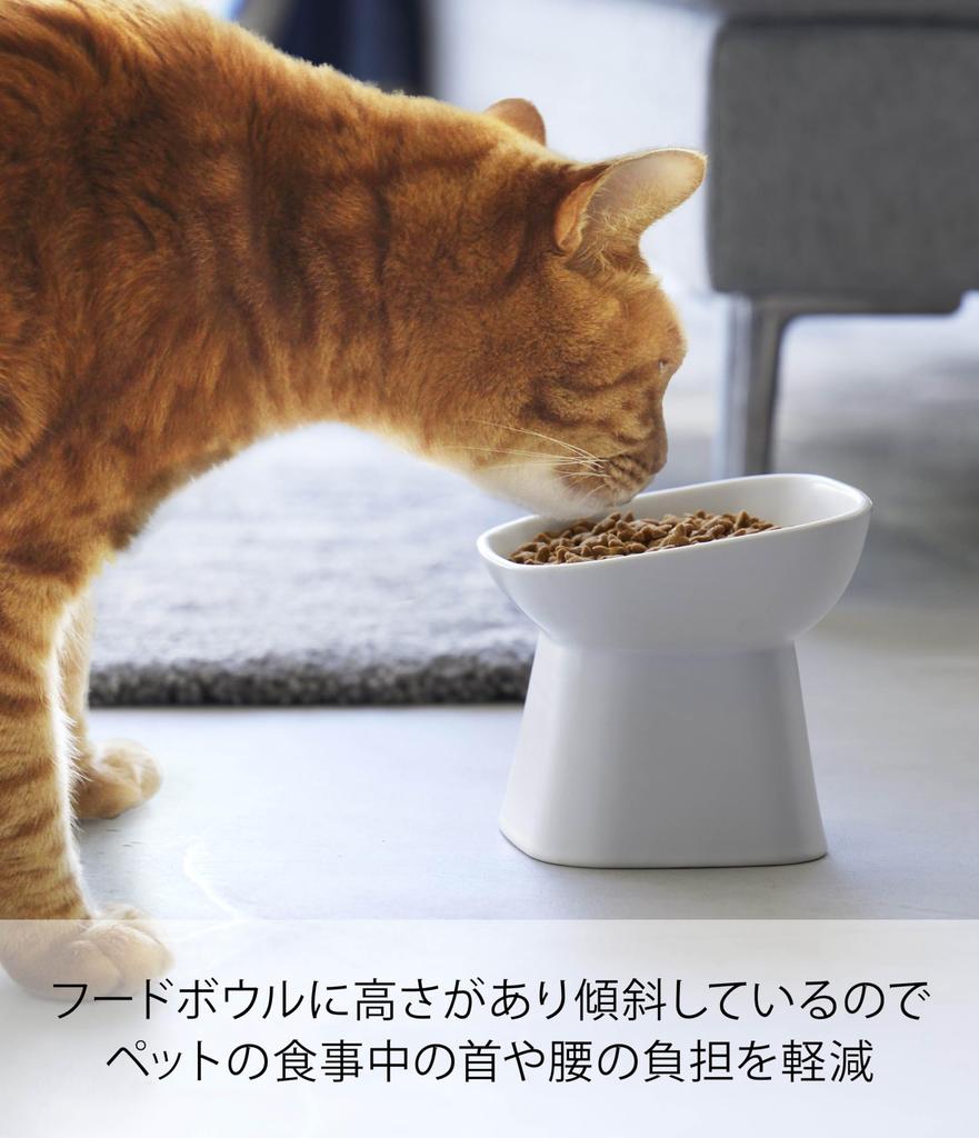 Yamazaki Ceramic Pet Food 12cm W X 12cm D X Tower Food and Water Dishwasher and Microwave Product 1781 (Yamazaki) Easy-to-Eat Bowl, Tall, Slanted,