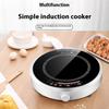 Mini Induction Cooker Household Multi-functional High-power Cooking Travel Round Fire Boiler European Standard