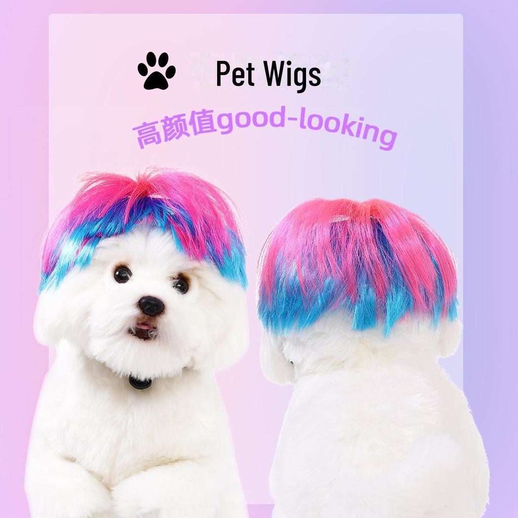 Хэллоуинский парик для питомца: Забавный розово-голубой аксессуар для волос