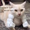 НОВЫЙ Подвеска с мускулистой лапой кошки Игрушка Халк 3D-печать Подвеска на шею Розыгрыш Украшение для лапы питомца