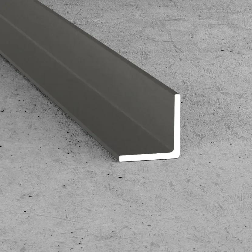 B12 Inox strip 100cm