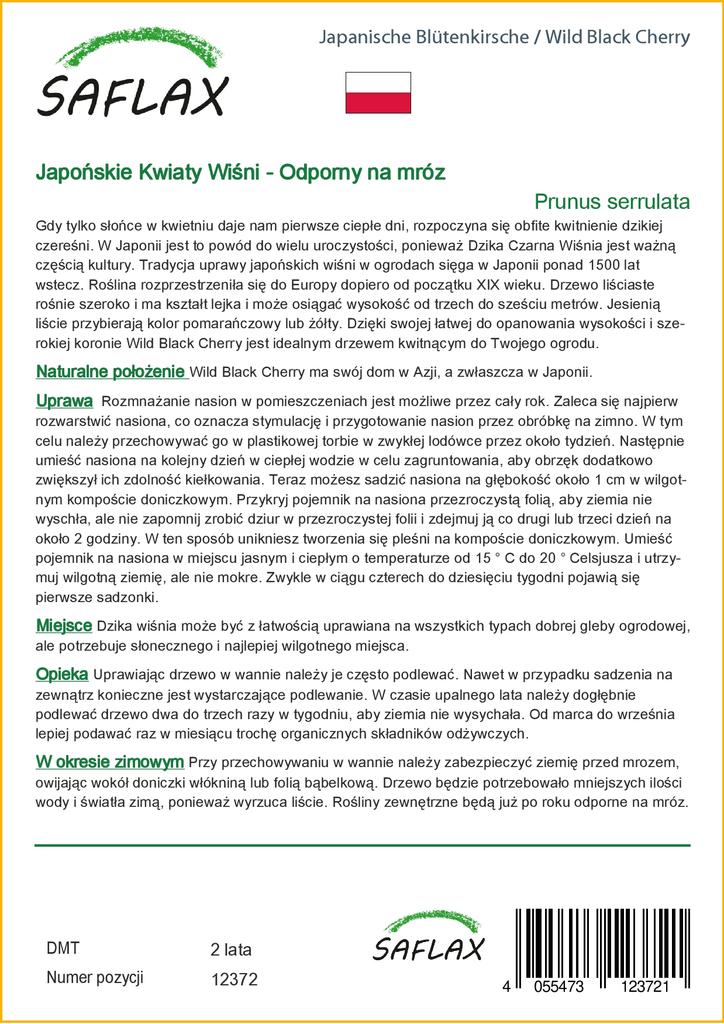 SAFLAX Wild Black Cherry - 30 семян - С горшечным субстратом для лучшего выращивания - Prunus serrulata