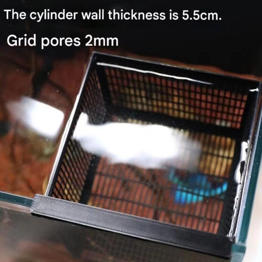 Breeding Use Fish Isolation Box Solid Partition Betta Separation Box Guppy Incubator Fry Rearing