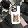 Чехол для телефона Goofy Cool Cats с большими глазами для iPhone 17,16,15,14,13,12, Pro MAX, Черный Матовый, Ударопрочный