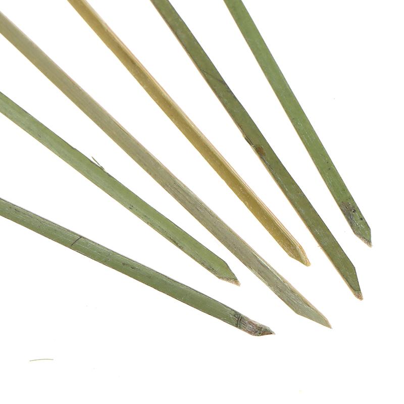100 шт. бамбуковые шпажки-узлы для коктейлей для закусок и сэндвичей на коктейльной вечеринке